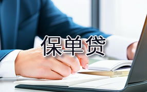 龙岩保单贷