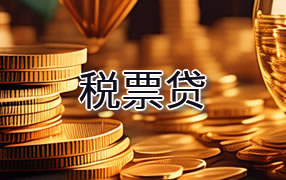 龙岩税票贷